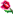 [Image: rose-small.png]